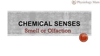 Chemical Sensations  Smell [upl. by Larrad309]