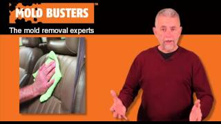 How to Remove the mold and odors from your car [upl. by Mail882]