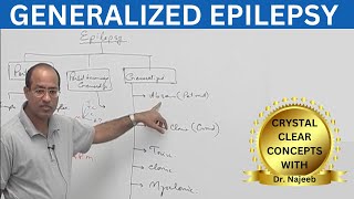 Generalized Epilepsy  Generalized Seizures  Neuroanatomy🧠 [upl. by Jilli]