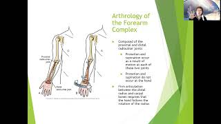 Chapter 5 Arthrology of the Elbow and Forearm [upl. by Biegel]