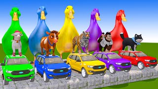 5 Giant Duck CartoonCowTigerElephantSheepMonkey Paint Wild Animals Crossing Fountain Animation [upl. by Sherrard]