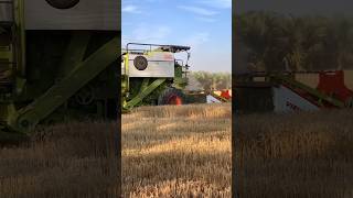 vishal 435 2024 model BS4 engine viralvideos farming reelsinstagram vishal jattlife explore [upl. by Wengert]