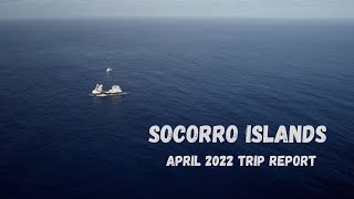 Diving Socorro on the Nautilus Explorer in 2022 4K [upl. by Dillon855]