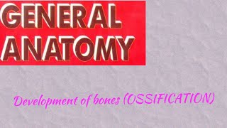 Development of bonesOSSIFICATION General anatomy 7 [upl. by Annail]