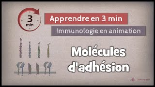 162 ◽ Molécules dadhésion Partie 1 [upl. by Etnahc546]