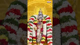 Cherikolvaro  Sri Annamacharya Sankeerthanalu  Sri Annamayya  Telugu Popular Devotional Songs [upl. by Synn179]