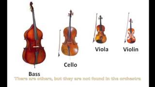 Instruments of the OrchestraStrings Part 9  Listening Examples [upl. by Arten]