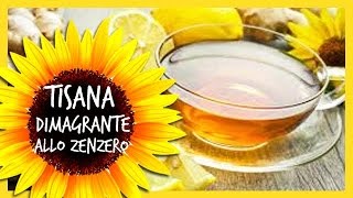 Tisana dimagrante allo Zenzero ricetta per dimagrire [upl. by Arney]