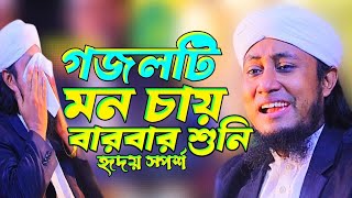 গজলটি মন চায় বারবার শুনি হৃদয় স্পর্শ মরমী গান তাহেরি। GasUddin Taheri New Gojol।Imam Tv Gojol [upl. by Gabriel317]