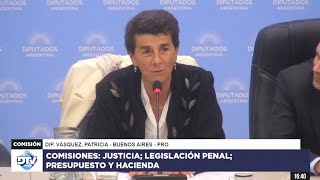 COMISIÓN COMPLETA PLENARIO  10 de septiembre de 2024  JUICIO POR JURADO  Diputados Argentina [upl. by Nami194]