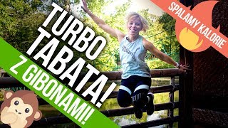 TURBO TABATA  trening z gibonami z ZOO  Spalamy kalorie 🔥🔥  Codziennie Fit [upl. by Adirem37]