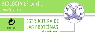 ESTRUCTURA DE LAS PROTEÍNAS [upl. by Michell934]