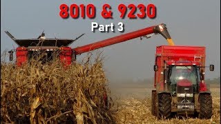 Case IH 9230 amp 8010  Corn harvest 2019  Part 3 OptumPuma6R8330 [upl. by Annia]