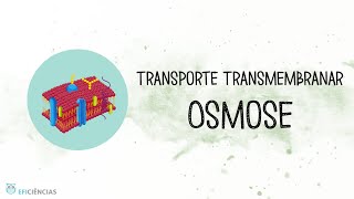 Transporte transmembranar  Osmose  Biologia e Geologia 10ºano [upl. by Wilmar]