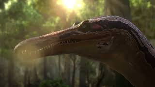 Suchomimus Vs Three Stegosaurus  Jurassic World Chaos Theory Season 2 HD Clip [upl. by Durwin]