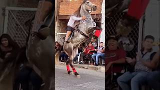 Caballo Reparando Acaba Mal🤔😱🇲🇽💯 caballos shorts caballosbailadores horse jaripeo rodeo [upl. by Cecile]