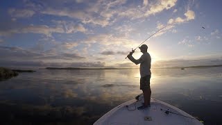 Good early morning Topwater Bite on the Pamlico River NC [upl. by Herrod785]