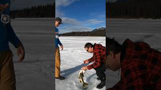 Ice Fishing Adventure Montana Upper Stillwater Lake laketrout jumboperch icefishing fishing [upl. by Ola]