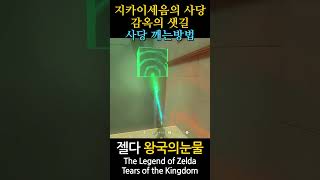 The Legend of Zelda Tears of the Kingdom 150 shorts zelda zeldatearsofthekingdom zeldatotk fyp [upl. by Wons]