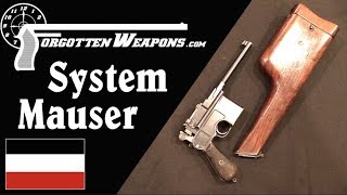 quotSystem Mauserquot  The Very First C96 Pistols [upl. by Drolyag]