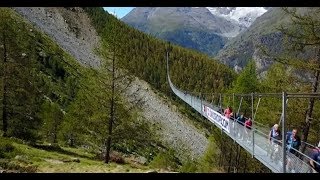 Swiss Alps suspension bridge opens [upl. by Marilee]