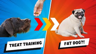 Does Treat Training Make Your Dog FAT [upl. by Renny]