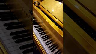 Attractive pianos in Dubai music piano good nice [upl. by Latrice]