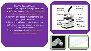 AQA A Level Biology 22 Required Practical 2 [upl. by Eillib]