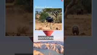 Facts You Didnt Know FactsViral Trending Shorts TikTok FunFacts Knowledge DidYouKnow [upl. by Chadwick]