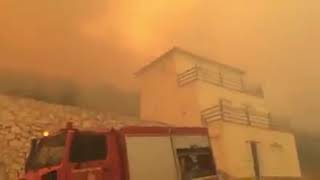 GRECIA terrificanti incendi nellisola di Zacinto turisti in fuga [upl. by Assil]