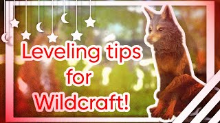 LEVELING TIPS FOR WILDCRAFT  1  200 IN 4 DAYS  D34DP00L WC [upl. by Flodur]