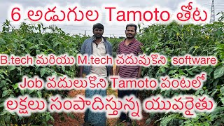 Btech మరియు Mtech చదువుకొని software job వదులుకొని టమోటో పంటలో లక్షలు సంపాదిస్తున్న యువరైతుtamoto [upl. by Lechar225]