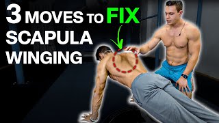 How I Fixed My Winging Scapula [upl. by Isyed665]