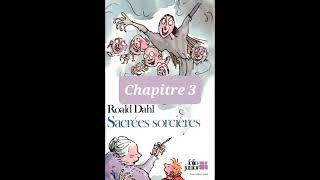 2 Sacrées Sorcières de Roald Dahl chapitre 3 livre audio [upl. by Arze]