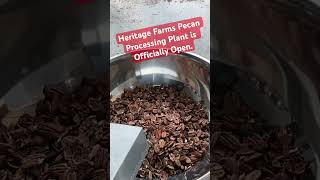 Heritage Farms Pecan Processing Plant is officially open [upl. by Avle]