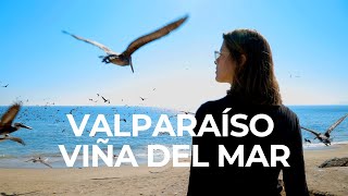 VALPARAÍSO e VIÑA DEL MAR no Chile  O que fazer em 1 dia  Vlog do Num Pulo Ep03 [upl. by Silera]