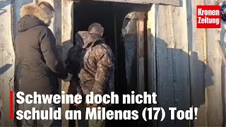 Schweine doch nicht schuld an Milenas 17 Tod  kronetv NEWS [upl. by Eduino]