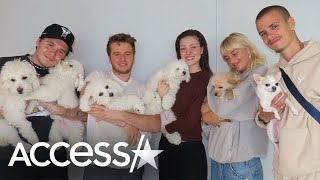 Brooklyn Beckham amp Nicola Peltz Pose w Dogs amp Gush Over Each Other [upl. by Nnave]