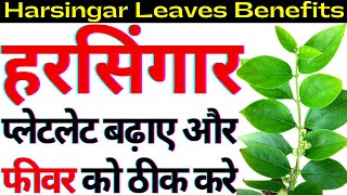 हरसिंगार के पत्ते को उबालकर पीने के असरदार फायदे  Harsingar Leaves Benefits in hindi shorts [upl. by Pieter]