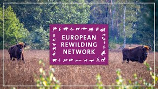 The European Rewilding Network  Bringing together rewilding initiatives from all over Europe [upl. by Niggem]