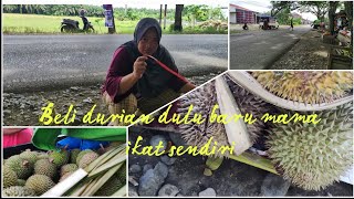 BELI DURIAN DI MOBIL DAN LANGSUNG MAMA IKAT UNTUK DI JUAL DI LAPAK [upl. by Tahp234]