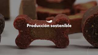 Probióticos ingredientes naturales y sostenibles para tu mascota [upl. by Prosperus720]