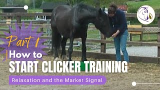 How to Start Clicker Training Your Horse Part 1 Relaxation and the Marker Signal [upl. by Varipapa]