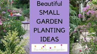 Small garden planting ideasplants for narrow or small gardens [upl. by Lona589]