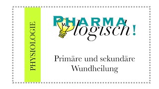 primäre und sekundäre Wundheilung [upl. by Rube]