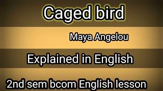 2nd sem bcom Caged bird lesson explained in English full summary Caged bird in English [upl. by Elleinod688]