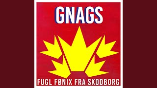 FUGL FØNIX FRA SKODBORG Radio Edit [upl. by Kendricks]