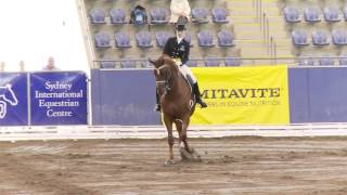 Daniella Dierks and Luxor 118 Grand Prix Special at the NSW Dressage Championships [upl. by Oliva827]