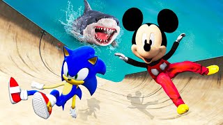 Mickey Mouse VS Sonic Water Ragdoll amp Fails in GTA 5 Funny 10 [upl. by Nagyam]