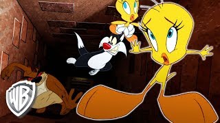 Looney Tunes auf Deutsch  quotIch habe einen tasmanischen Teufel gesehenquot  WB Kids [upl. by Clarey642]